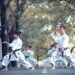 Young martial artists practice focused karate stances outdoors